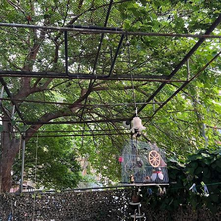 3 Room Flat In Τυφλίδα Εξωτερικό φωτογραφία